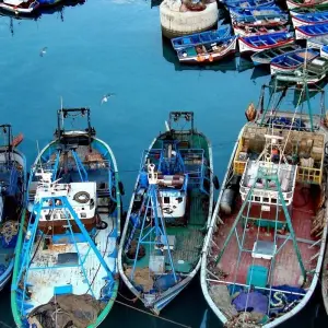 Explore 16 Day Rome,  Ouarzazate, Erfoud and more for 16 days with Remaz Tours GmbH and discover unforgettable experiences - Photo 6