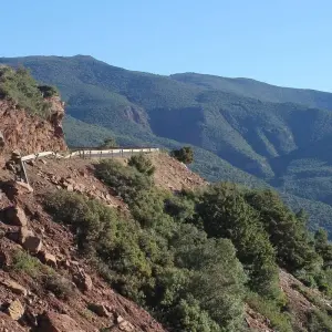 Explore 7-Day Giza, Historical Cairo, Casablanca, Meknes, Fez, and more. for 7 days with Remaz Tours GmbH and discover unforgettable experiences - Photo 3