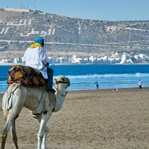 Explore 8-Day Imperial Morocco From Casablanca for 8 days with Remaz Tours GmbH and discover unforgettable experiences - Photo 6
