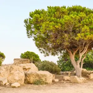 Explore 5 Days Tour in Paphos. for 5 days with Remaz Tours GmbH and discover unforgettable experiences - Photo 4