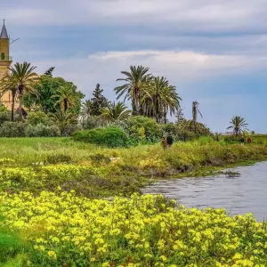 Explore 7 Days Complete Cyprus. for 7 days with Remaz Tours GmbH and discover unforgettable experiences - Photo 7