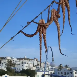 Explore 10 Days Athens, Olympia, Mycenae, Argolis, Nafplio, Peloponnese, Delphi and Meteora for 10 days with Remaz Tours GmbH and discover unforgettable experiences - Photo 6