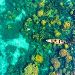 Explore Vietnam in 18 Days: Capturing the Essence for 18 days with Responsible Asia and discover unforgettable experiences - Photo 10