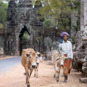 Explore Majestic Vietnam, Cambodia and Thailand In 10 Days - Private Tour for 10 days with Responsible Asia and discover unforgettable experiences - Photo 9