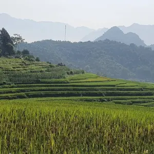 Explore Antique Vietnam Vacation In 13 Days for 13 days with Responsible Asia and discover unforgettable experiences - Photo 6