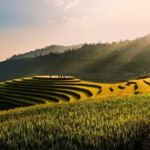 Explore Antique Vietnam Vacation In 13 Days for 13 days with Responsible Asia and discover unforgettable experiences - Photo 9