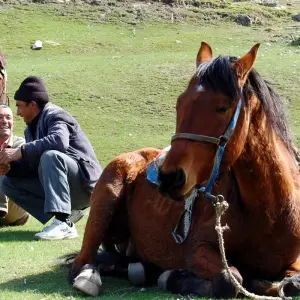 Explore 3-Day Nuratau Mountain Horse Riding Tour for 3 days with Responsible Travel and discover unforgettable experiences - Photo 4