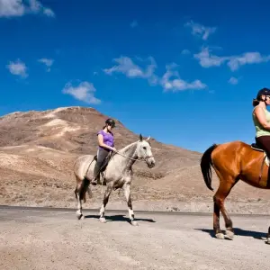 Explore 3-Day Nuratau Mountain Horse Riding Tour for 3 days with Responsible Travel and discover unforgettable experiences - Photo 10