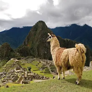 Explore 9 Days Horseback Riding: Salkantay Trek to Machu Picchu -  Luxury Experience for 9 days with Responsible Travel South America and discover unforgettable experiences - Photo 8