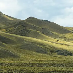 Explore 10 Days Treasures of Southern Peru for 10 days with Responsible Travel South America and discover unforgettable experiences - Photo 7