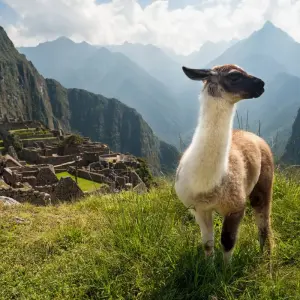 Explore 10 Days Treasures of Southern Peru for 10 days with Responsible Travel South America and discover unforgettable experiences - Photo 11