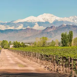 Explore 4 Days Wine & Andes Adventure in Mendoza for 4 days with Responsible Travel South America and discover unforgettable experiences - Photo 2