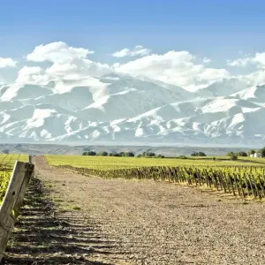 Explore 4 Days Wine & Andes Adventure in Mendoza for 4 days with Responsible Travel South America and discover unforgettable experiences - Photo 3