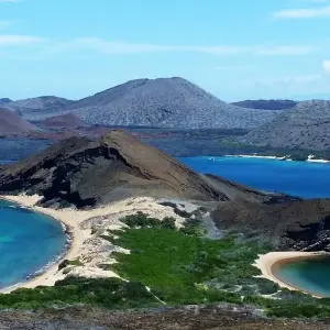 Explore 11 Days Single Gay Men Group Tour Ecuador and Galapagos Islands for 11 days with Responsible Travel South America and discover unforgettable experiences - Photo 3