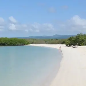 Explore 11 Days Single Gay Men Group Tour Ecuador and Galapagos Islands for 11 days with Responsible Travel South America and discover unforgettable experiences - Photo 4