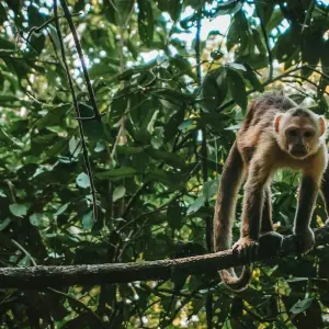 Explore 5 Days-Santa Marta Colombia: Caribbean Soul & Sierra Trails for 5 days with Responsible Travel South America and discover unforgettable experiences - Photo 3