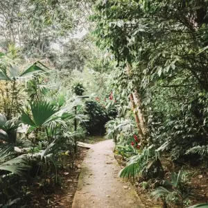 Explore 12 Days Andean Adventure: Traversing Ecuador's Icons and Hidden Gems for 12 days with Responsible Travel South America and discover unforgettable experiences - Photo 4