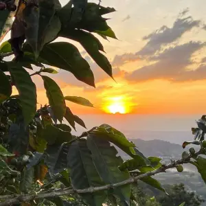 Explore 5 Days-Santa Marta Colombia: Caribbean Soul & Sierra Trails for 5 days with Responsible Travel South America and discover unforgettable experiences - Photo 5