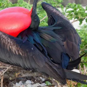 Explore 5 Days San Cristobal Island Wonders for 5 days with Responsible Travel South America and discover unforgettable experiences - Photo 5