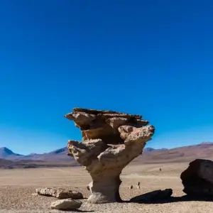 Explore 14 Days Sacred Sands: Argentina and Bolivia for 14 days with Responsible Travel South America and discover unforgettable experiences - Photo 6