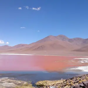 Explore 14 Days Andean Treasures, Bolivia and Peru for 14 days with Responsible Travel South America and discover unforgettable experiences - Photo 6