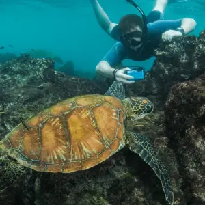 Explore 9 Days - Galapagos Multisport Luxury Experience for 9 days with Responsible Travel South America and discover unforgettable experiences - Photo 3