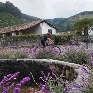 Explore 10 Days Biking The Ecuador Volcanoes for 10 days with Responsible Travel South America and discover unforgettable experiences - Photo 4