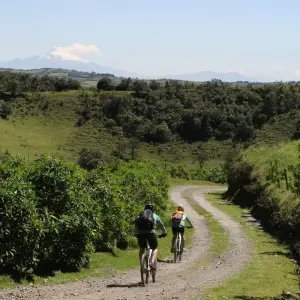 Explore 10 Days Biking The Ecuador Volcanoes for 10 days with Responsible Travel South America and discover unforgettable experiences - Photo 5