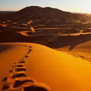 Explore Morocco Caravans Road Tour for 8 days with Ricks Voyage and discover unforgettable experiences - Photo 2