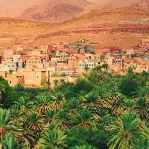 Explore Jewels of Morocco Tour from Marrakesh for 8 days with Ricks Voyage and discover unforgettable experiences - Photo 8