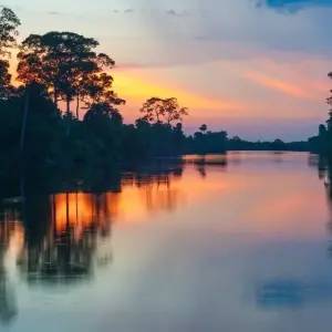Explore 4 Days Amazon Lodge Cuyabeno Reserve for 4 days with Responsible Travel South America and discover unforgettable experiences - Photo 3