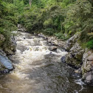 Explore 8 Days From Ruins to Roast: The Colombian Way for 8 days with Responsible Travel South America and discover unforgettable experiences - Photo 2