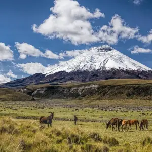 Explore 14 Days Cultures Around the Equator for 14 days with Responsible Travel South America and discover unforgettable experiences - Photo 4