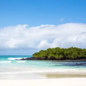 Explore 8 Days Galapagos Island Hopping Tour (San Cristobal - Santa Cruz - Isabela) for 8 days with Responsible Travel South America and discover unforgettable experiences - Photo 2