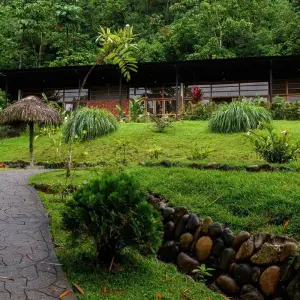 Explore 4 Days Amazon Safari Experience for 4 days with Responsible Travel South America and discover unforgettable experiences - Photo 3