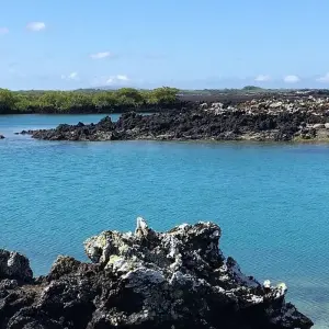 Explore 8 Days Galapagos Island Hopping Tour (San Cristobal - Santa Cruz - Isabela) for 8 days with Responsible Travel South America and discover unforgettable experiences - Photo 3