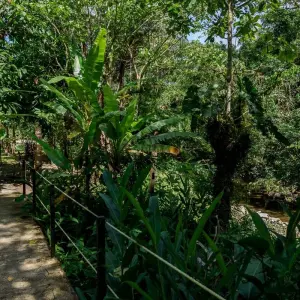 Explore 4 Days Amazon Safari Experience for 4 days with Responsible Travel South America and discover unforgettable experiences - Photo 4