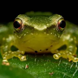 Explore 4 Days Amazon Safari Experience for 4 days with Responsible Travel South America and discover unforgettable experiences - Photo 5