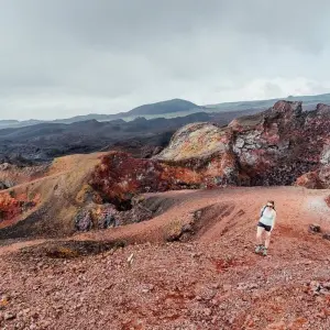 Explore 8 Days Galapagos Island Hopping Tour (San Cristobal - Santa Cruz - Isabela) for 8 days with Responsible Travel South America and discover unforgettable experiences - Photo 5