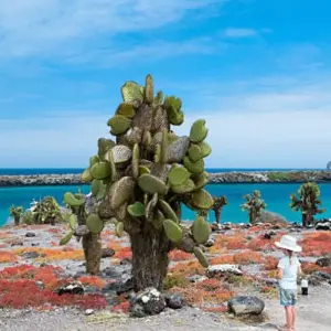 Explore 10 Day Galapagos Family Expedition: San Cristobal, Isabela and Santa Cruz Island for 10 days with Responsible Travel South America and discover unforgettable experiences - Photo 2