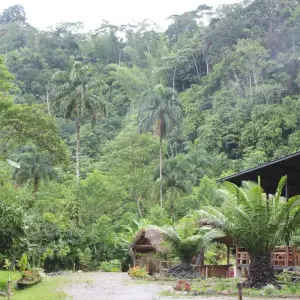 Explore 4 Days Amazon Safari Experience for 4 days with Responsible Travel South America and discover unforgettable experiences - Photo 7