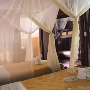 Explore 5 Days Cultural Yasuni Jungle Tour (Ticket Included) for 5 days with Responsible Travel South America and discover unforgettable experiences - Photo 4