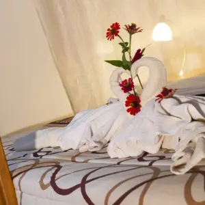 Explore 5 Days Cultural Yasuni Jungle Tour (Ticket Included) for 5 days with Responsible Travel South America and discover unforgettable experiences - Photo 5