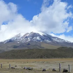 Explore 8 Days Cuyabeno Wildlife Reserve and Middle of the World Discovery for 8 days with Responsible Travel South America and discover unforgettable experiences - Photo 4