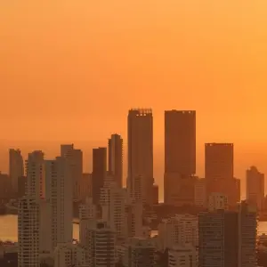 Explore 5 Days in Colombia: Birds, Bays and Cartagena Old Town for 5 days with Responsible Travel South America and discover unforgettable experiences - Photo 5