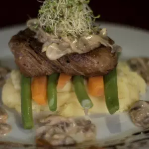 Explore 5 Days Cultural Yasuni Jungle Tour (Ticket Included) for 5 days with Responsible Travel South America and discover unforgettable experiences - Photo 8