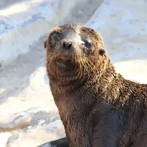 Explore 6 Days: Exploring Santa Cruz (Budget-Friendly Solo Adventure) for 6 days with Responsible Travel South America and discover unforgettable experiences - Photo 3