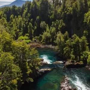 Explore 7 Days Lake District Adventure: Pucón Version for 7 days with Responsible Travel South America and discover unforgettable experiences - Photo 7