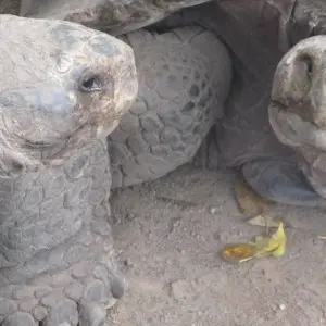 Explore 6 Days: Exploring Santa Cruz (Budget-Friendly Solo Adventure) for 6 days with Responsible Travel South America and discover unforgettable experiences - Photo 4