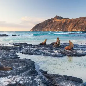 Explore 5 Days Galapagos Fascinating Nature for 5 days with Responsible Travel South America and discover unforgettable experiences - Photo 6